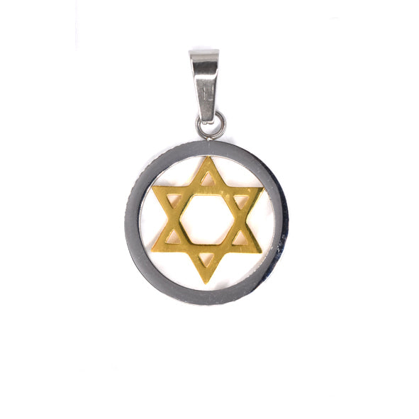 Stainless steel two tone star of David pendant - SSGP7363