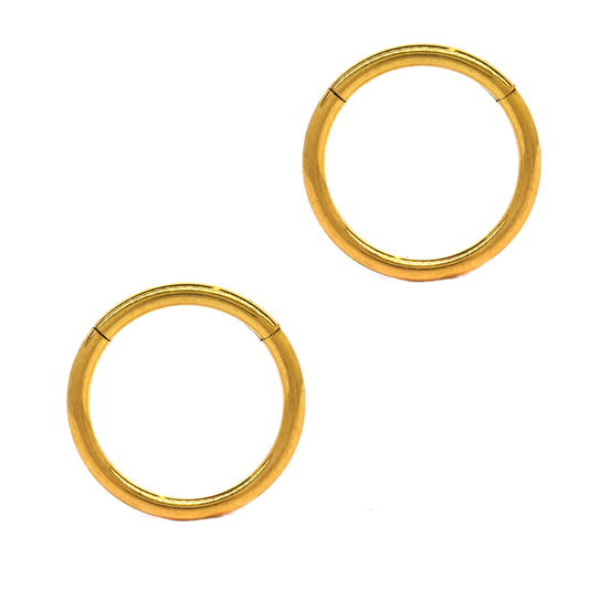 2 Pack stainless steel 12mm gold plated segment ring - SSGBJ9802