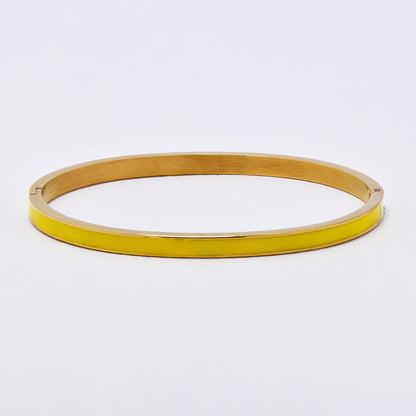 SSYB6276 - St Steel 65mm x 55mm x 4mm hinged bangle with enamel colour