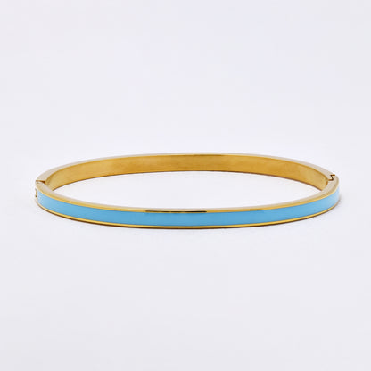 SSYB6290 - St Steel 65mm x 55mm x 4mm hinged bangle with colour enamel strip