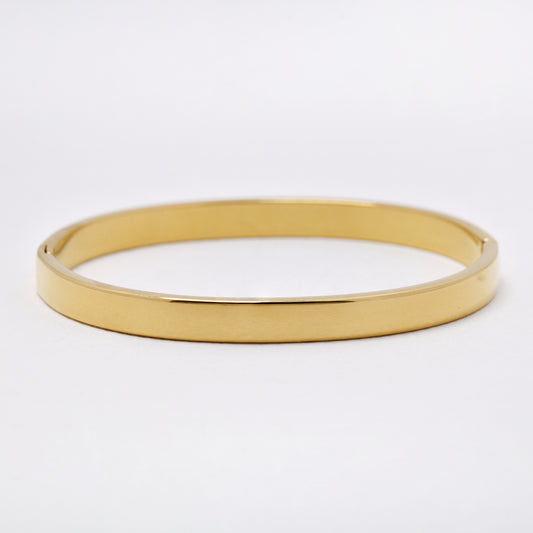 SSYB6756 - St Steel 65mm x 55mm x 6mm hinged bangle