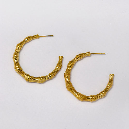 Stainless steel bamboo statement earrings - SSYE4996