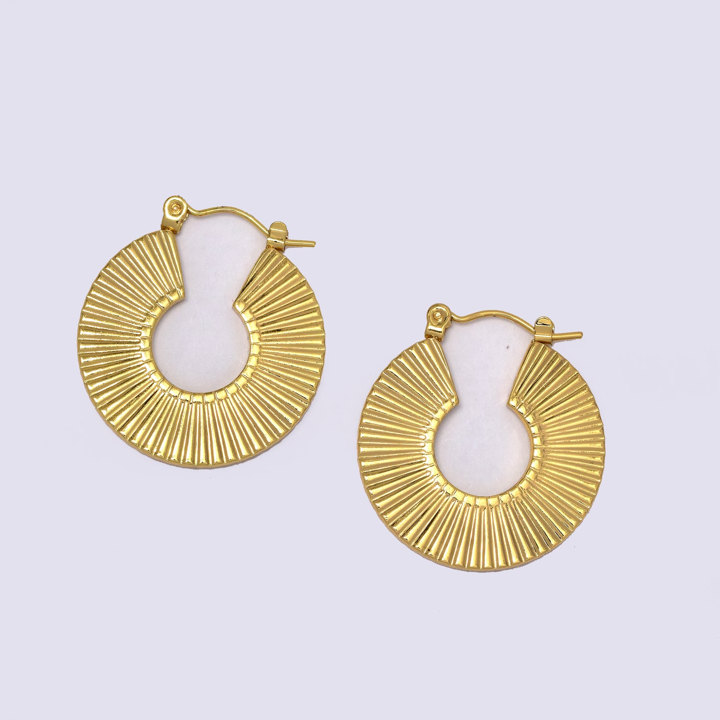 Stainless steel lined disc hoop earring - SSYE5266