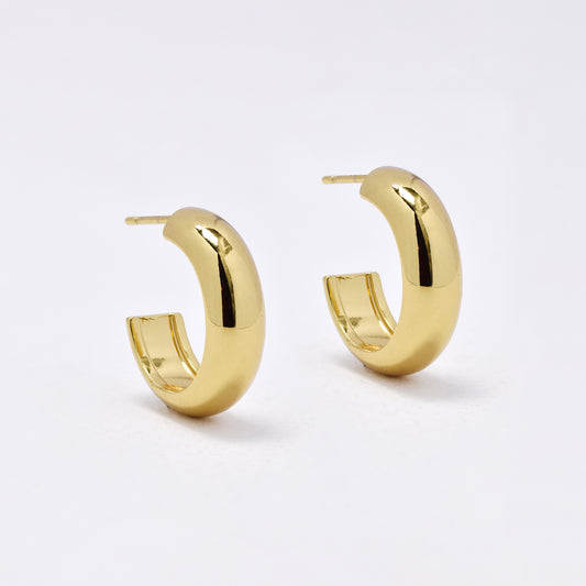 SSYE5969 - St Steel 20mm x 6mm  hoop with pin earring
