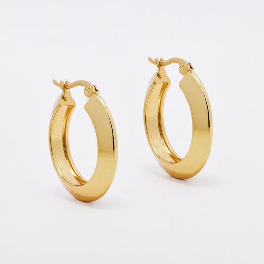 SSYE6527 - St Steel 25mm x 5mm hoops