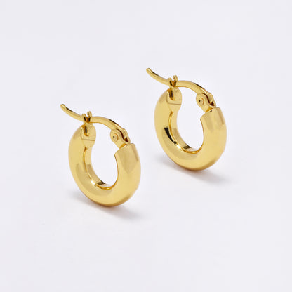 SSYE6818 - Steel 17mm x 16mm x 4mm hoop earrings