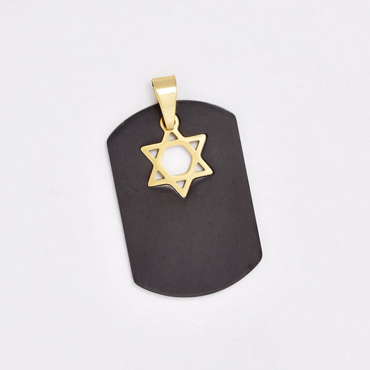 SSYP6450 - St Steel 30mm x 20mm star disk pendant