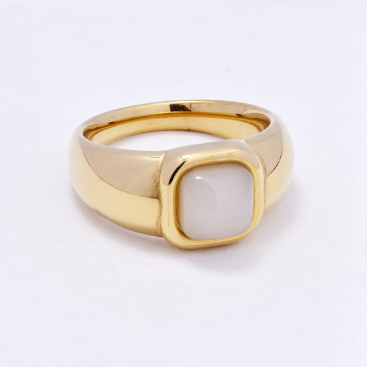 SSYR7075 - Steel 11mm square colour signet ring